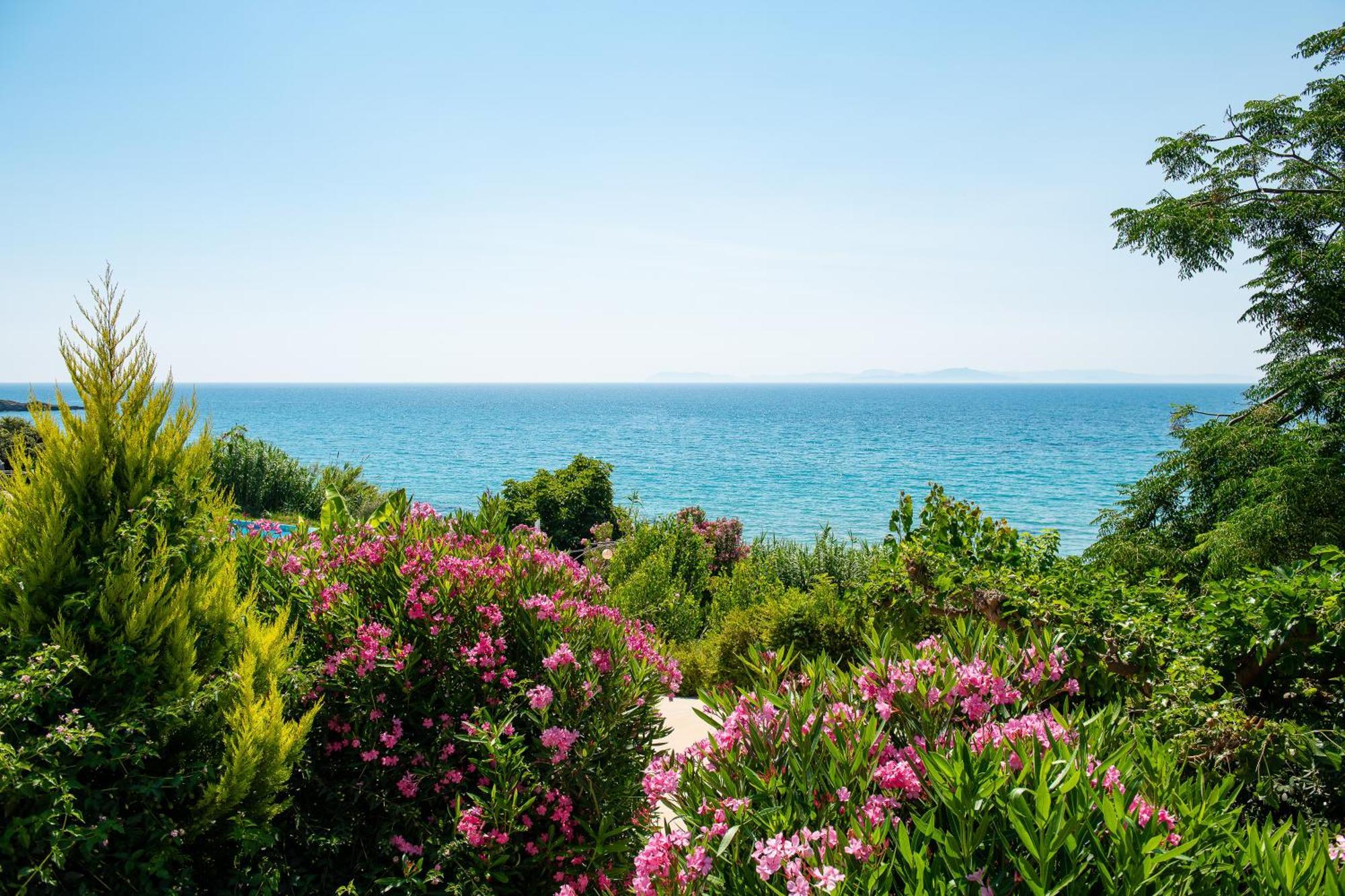 Mare Dei Suites Hotel Ionian Resort Skafidia Luaran gambar