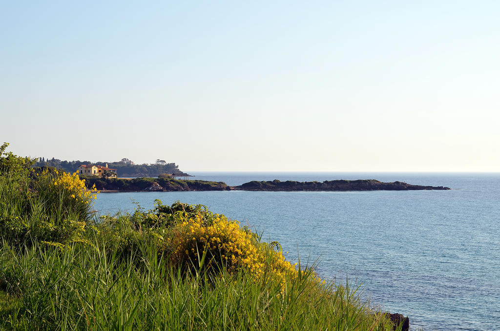 Mare Dei Suites Hotel Ionian Resort Skafidia Luaran gambar